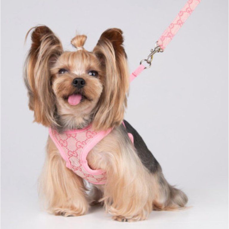 Poochie Gucci Pucci Logo Double G Pet Harness & Leash Set for Dog or Cat Pink - Designer Dog Clothes